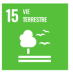 Odd 15 Vie Terrestre